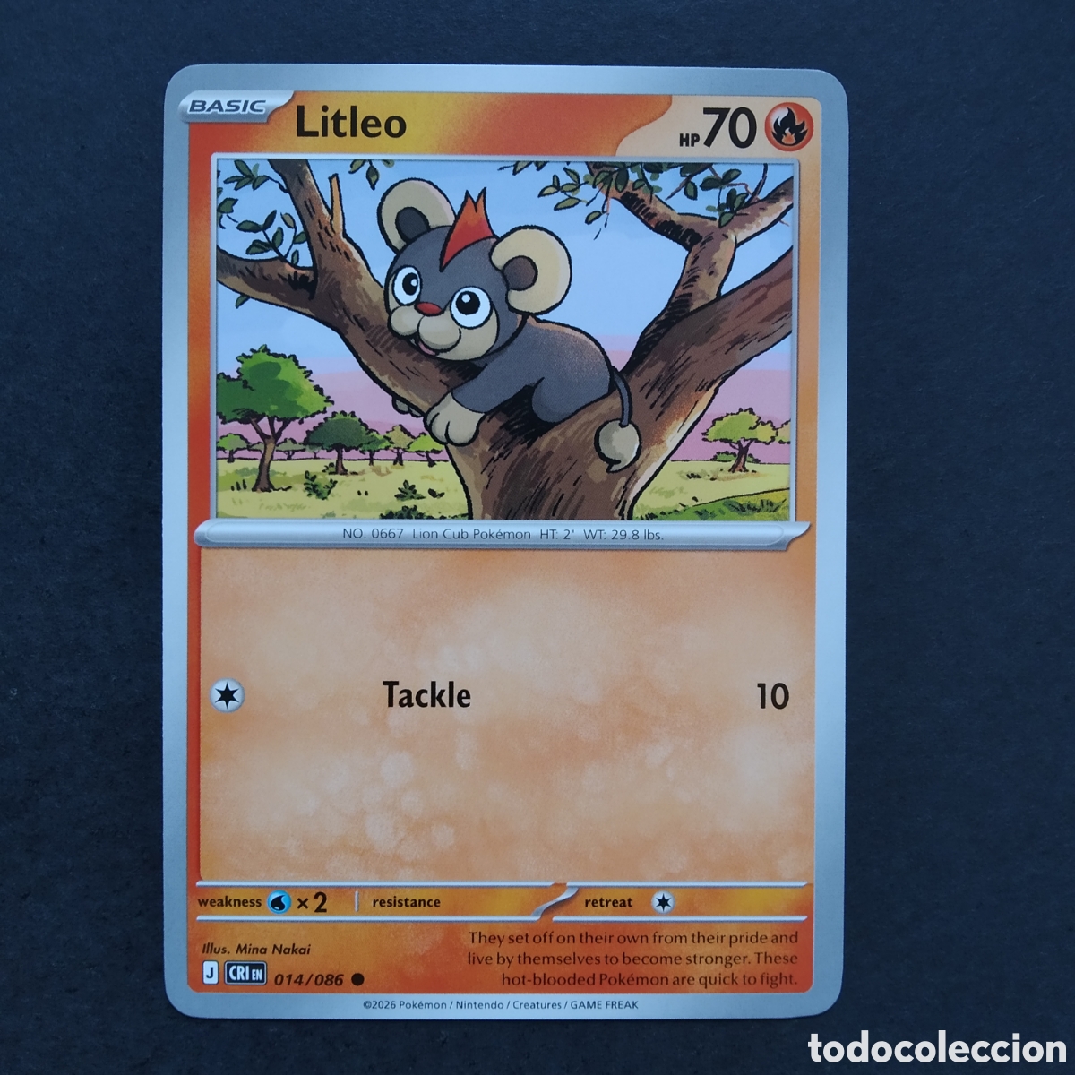 Trading cards: CARTA TCG - N&ordm; 014 - LITLEO - CHAOS RISING - POK&Eacute;MON - EN INGL&Eacute;S