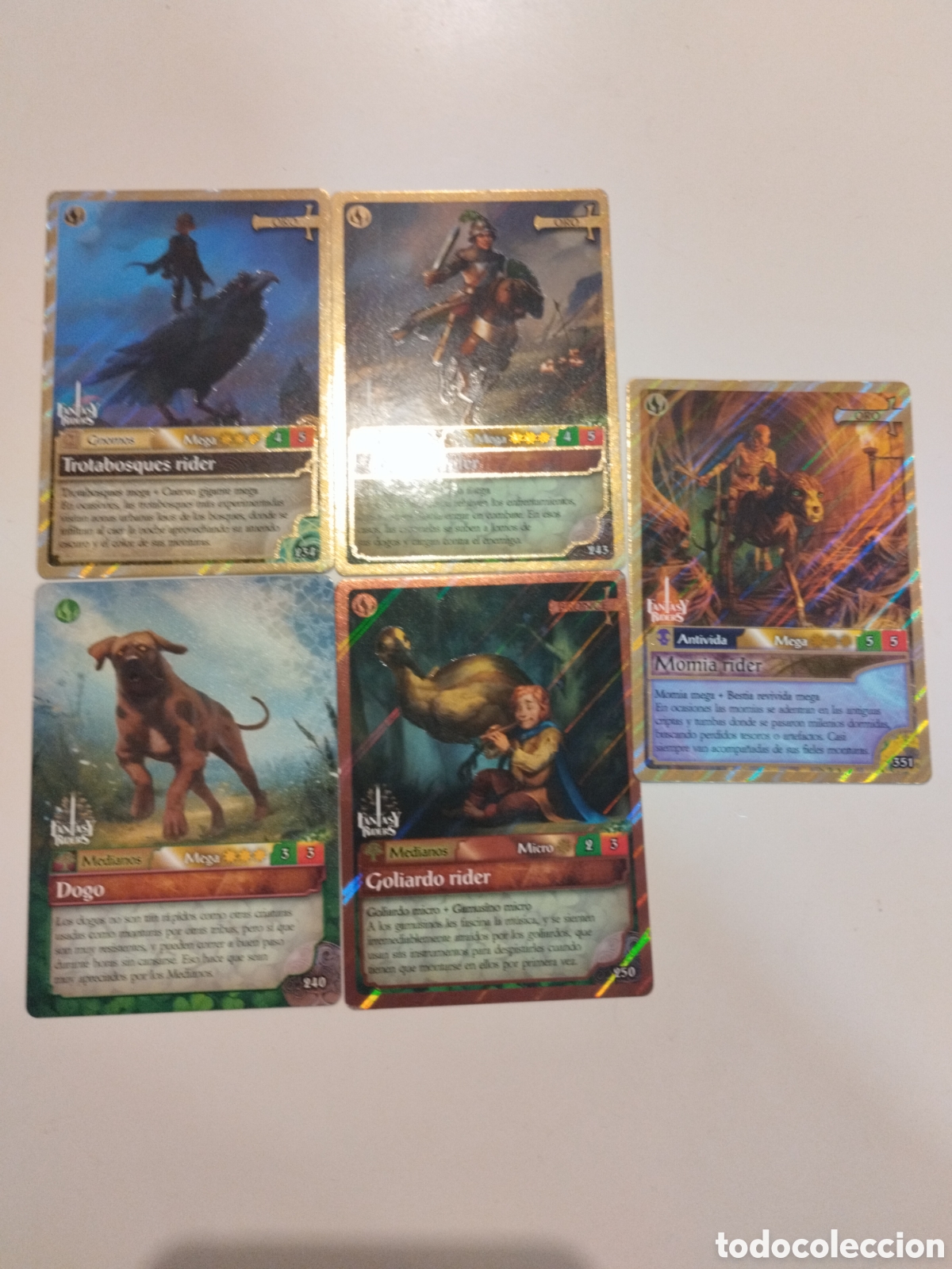 Trading cards: Lote 5 cartas especiales Fantasy riders
