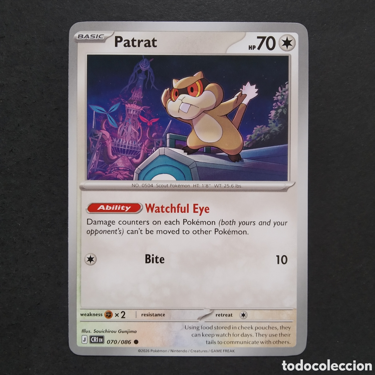 Trading cards: CARTA TCG - N&ordm; 070 - PATRAT - CHAOS RISING - POK&Eacute;MON - EN INGL&Eacute;S
