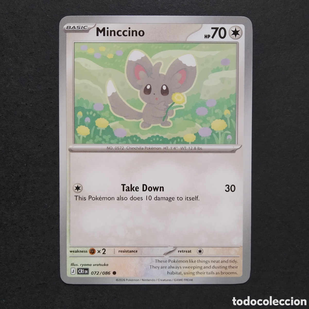 Trading cards: CARTA TCG - N&ordm; 072 - MINCCINO - CHAOS RISING - POK&Eacute;MON - EN INGL&Eacute;S