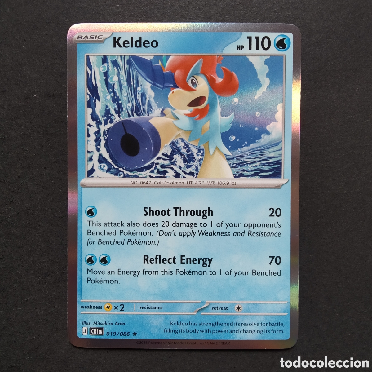 Trading cards: CARTA TCG - N&ordm; 019 - KELDEO (REVERSE HOLO) - CHAOS RISING - POK&Eacute;MON - EN INGL&Eacute;S