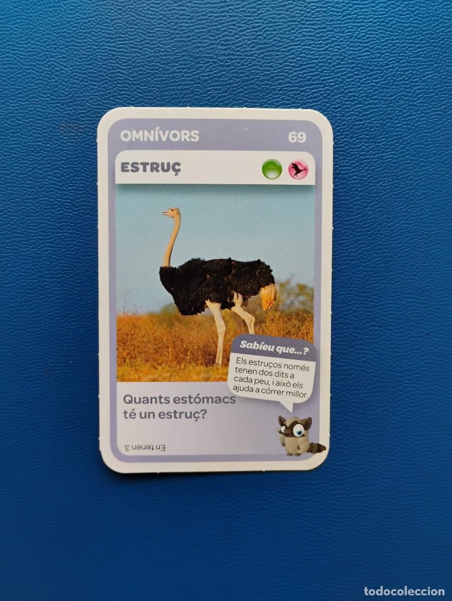 Trading cards: SUPER ANIMALS CONDIS ESTRU&Ccedil; N&ordm; 69 - CROMO CARD CARTA
