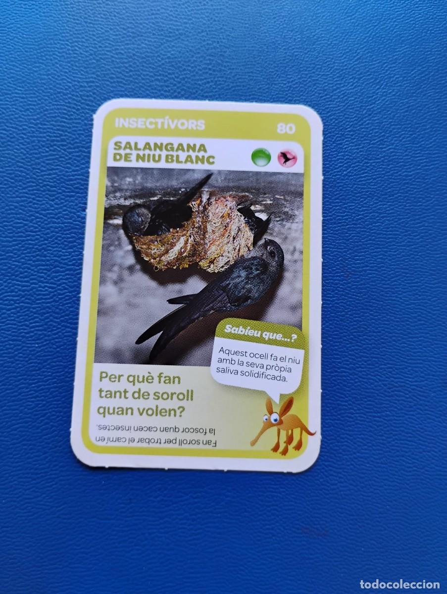 Trading cards: SUPER ANIMALS CONDIS SALANGANA DE NIU BLANC N&ordm; 80 - CROMO CARD CARTA