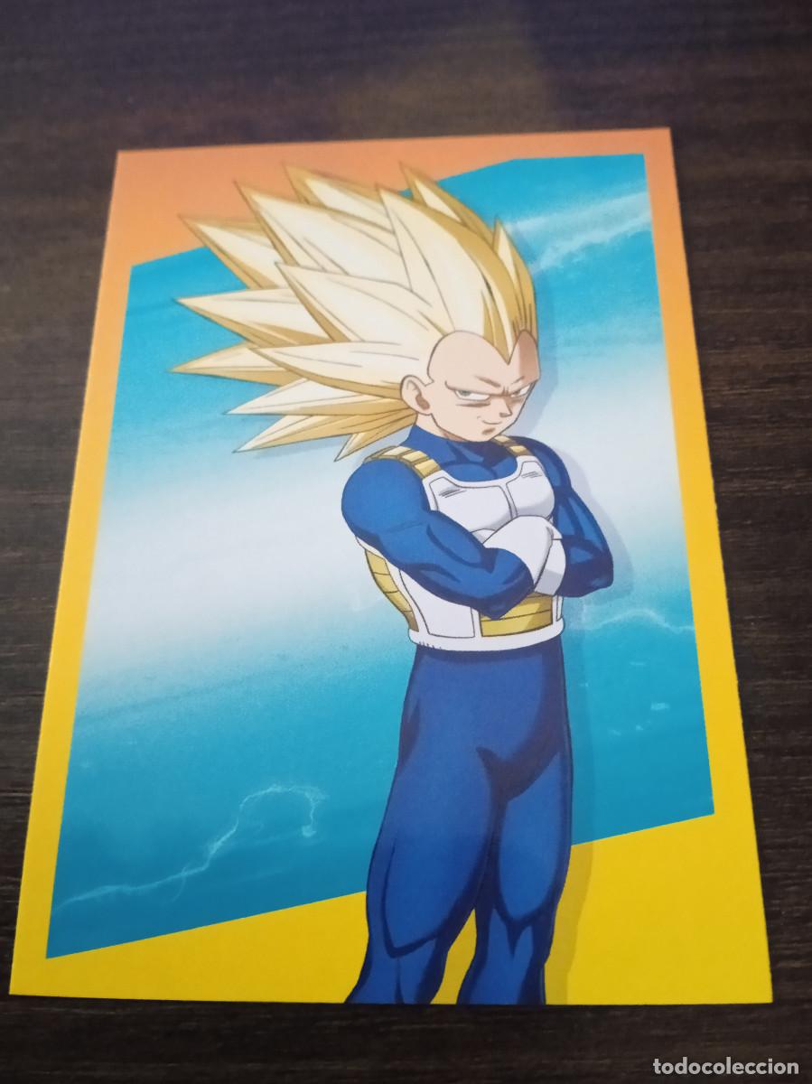 Trading cards: Cromo Trading Card Collection Panini Dragon Ball DAIMA 13