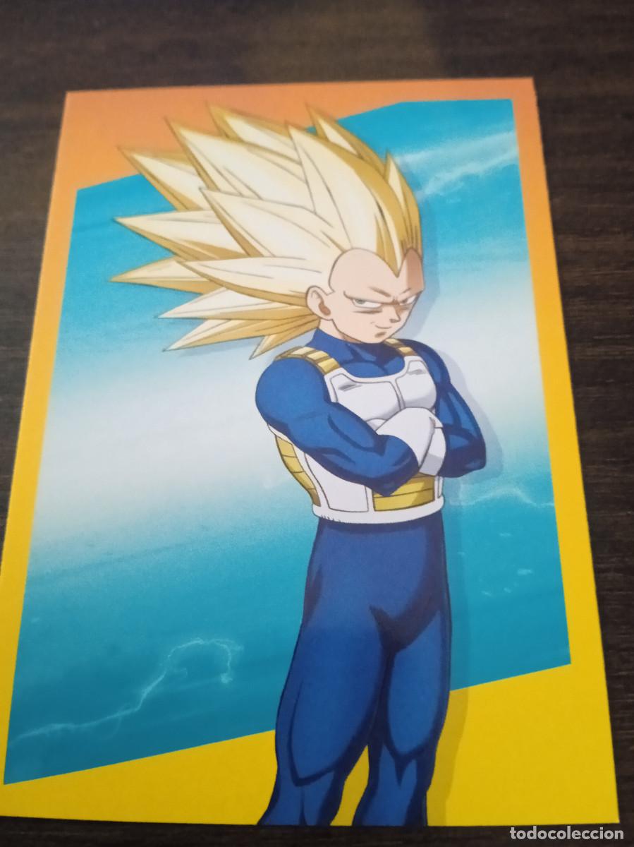 Trading cards: Cromo Trading Card Collection Panini Dragon Ball DAIMA 13