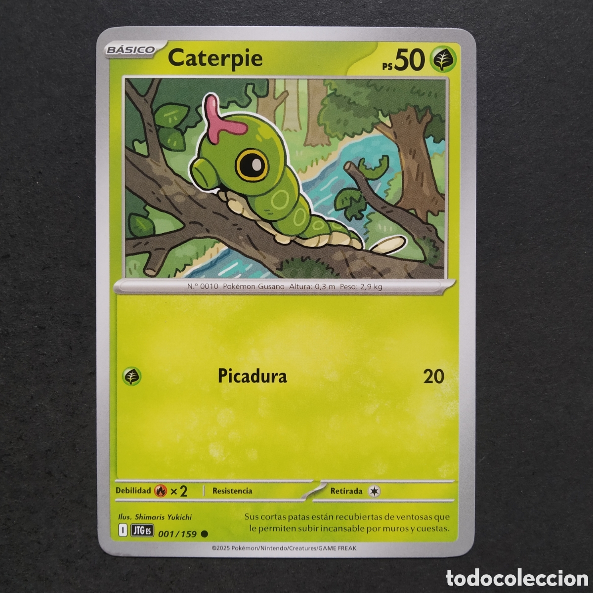 Trading cards: CARTA TCG - N&ordm; 001 - CATERPIE - JUNTOS DE AVENTURAS - POK&Eacute;MON - EN ESPA&Ntilde;OL