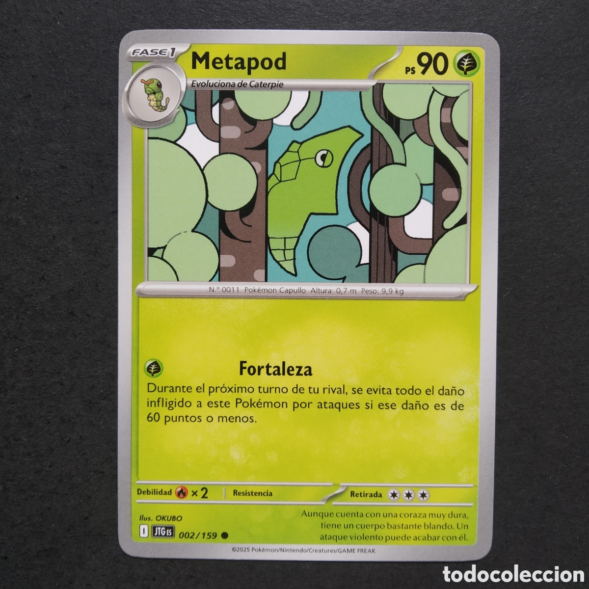 Trading cards: CARTA TCG - N&ordm; 002 - METAPOD - JUNTOS DE AVENTURAS - POK&Eacute;MON - EN ESPA&Ntilde;OL