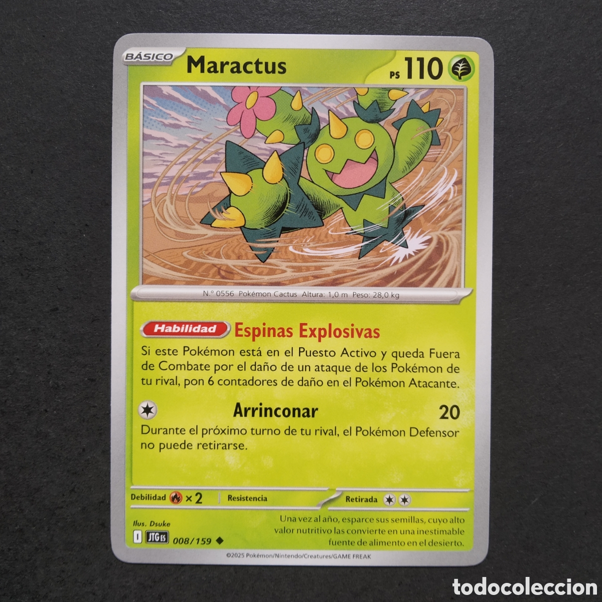 Trading cards: CARTA TCG - N&ordm; 008 - MARACTUS - JUNTOS DE AVENTURAS - POK&Eacute;MON - EN ESPA&Ntilde;OL