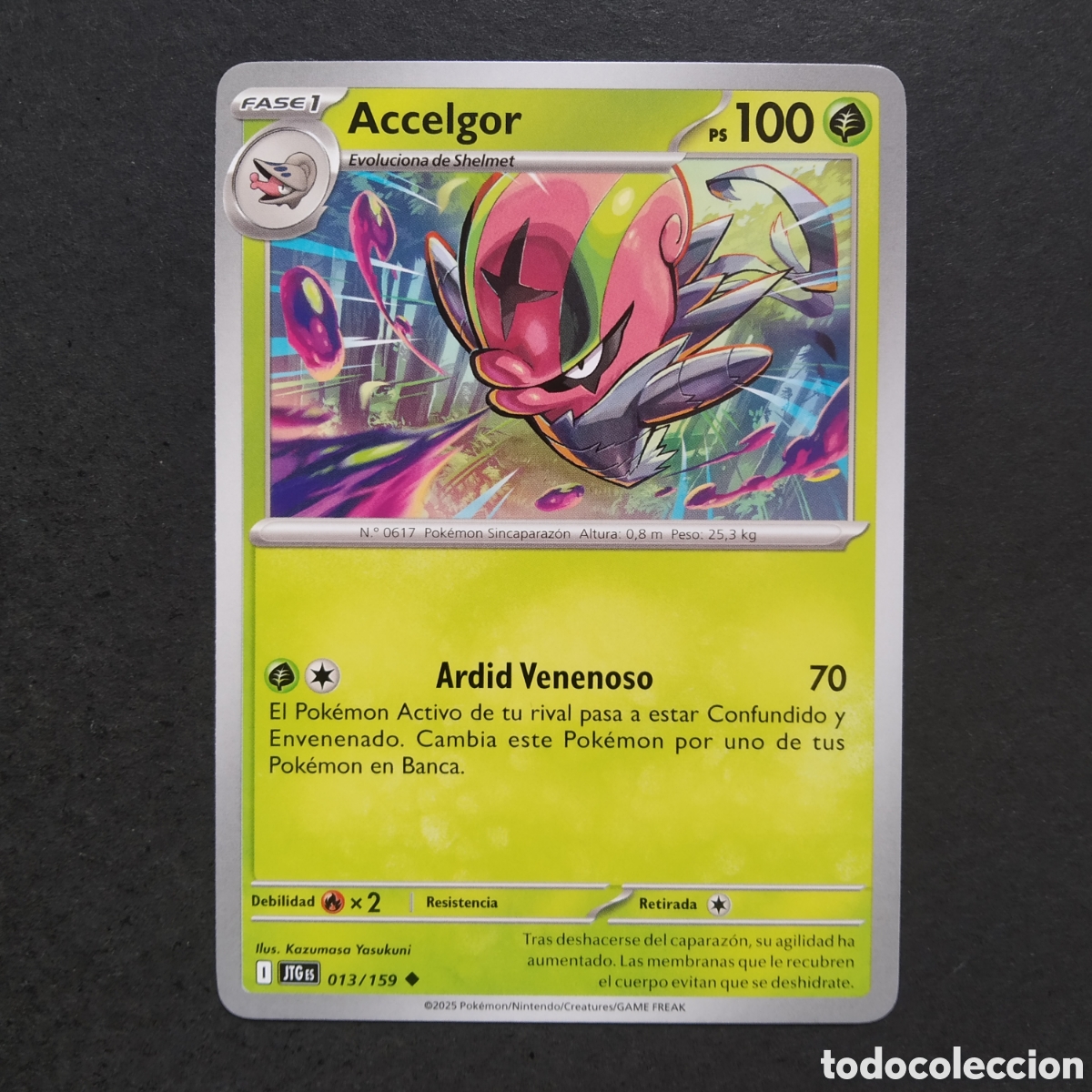 Trading cards: CARTA TCG - N&ordm; 013 - ACCELGOR - JUNTOS DE AVENTURAS - POK&Eacute;MON - EN ESPA&Ntilde;OL