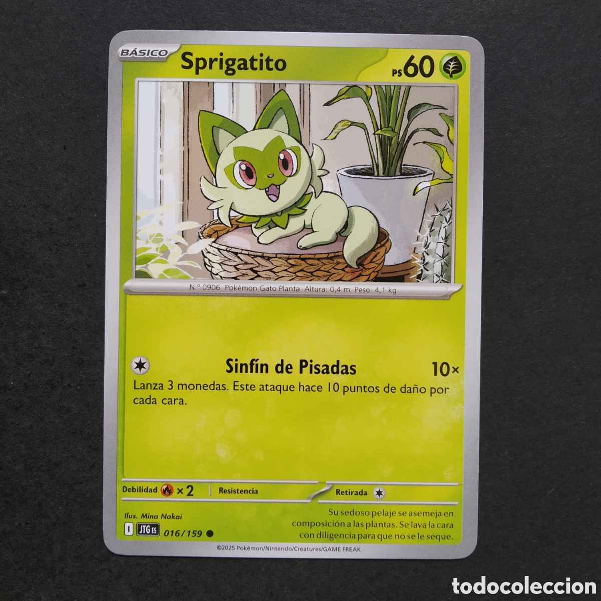 Trading cards: CARTA TCG - N&ordm; 016 - SPRIGATITO - JUNTOS DE AVENTURAS - POK&Eacute;MON - EN ESPA&Ntilde;OL
