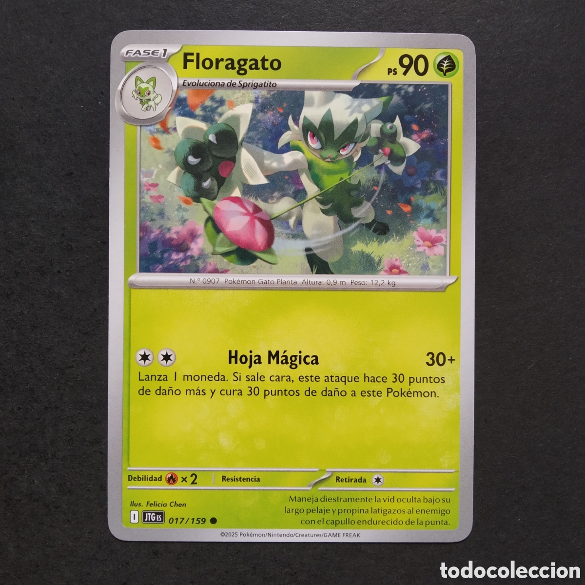 Trading cards: CARTA TCG - N&ordm; 017 - FLORAGATO - JUNTOS DE AVENTURAS - POK&Eacute;MON - EN ESPA&Ntilde;OL