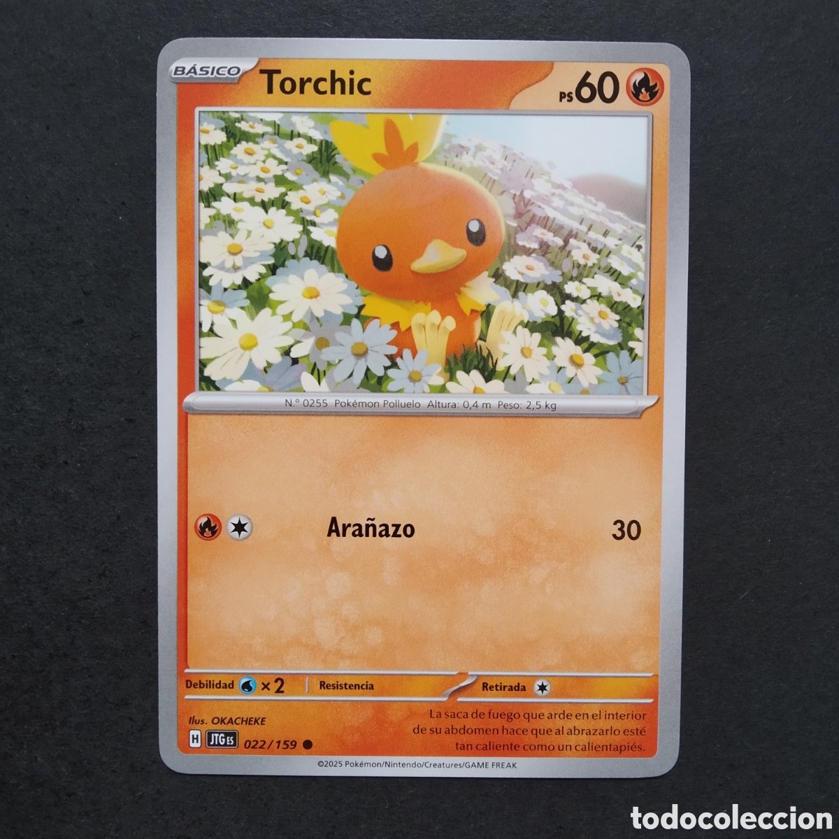 Trading cards: CARTA TCG - N&ordm; 022 - TORCHIC - JUNTOS DE AVENTURAS - POK&Eacute;MON - EN ESPA&Ntilde;OL