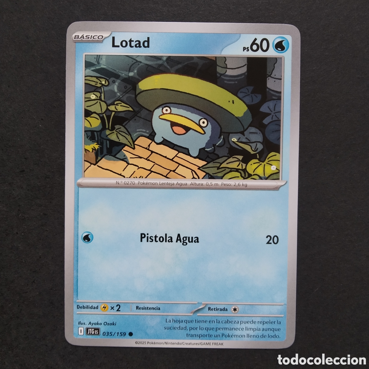 Trading cards: CARTA TCG - N&ordm; 035 - LOTAD - JUNTOS DE AVENTURAS - POK&Eacute;MON - EN ESPA&Ntilde;OL