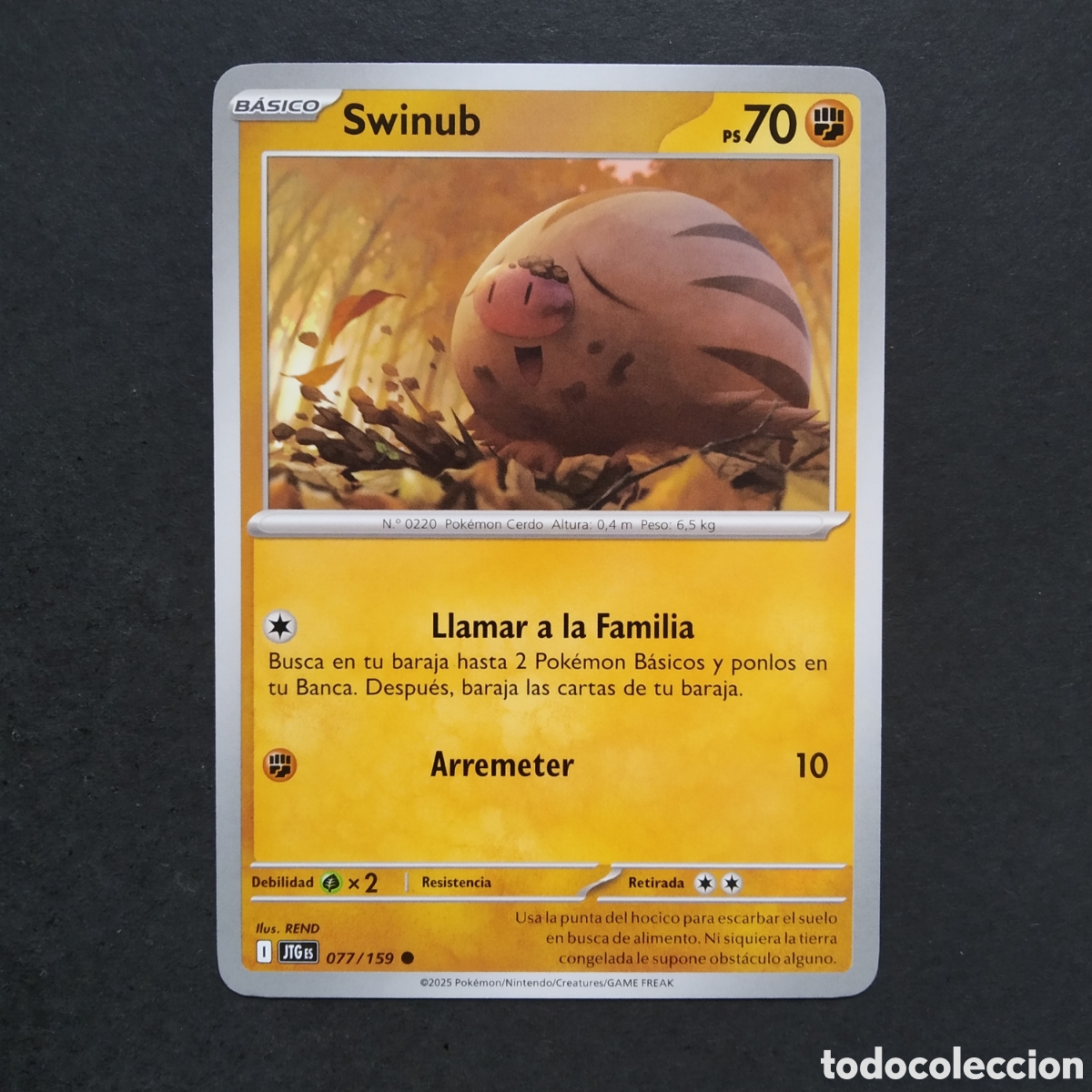 Trading cards: CARTA TCG - N&ordm; 077 - SWINUB - JUNTOS DE AVENTURAS - POK&Eacute;MON - EN ESPA&Ntilde;OL