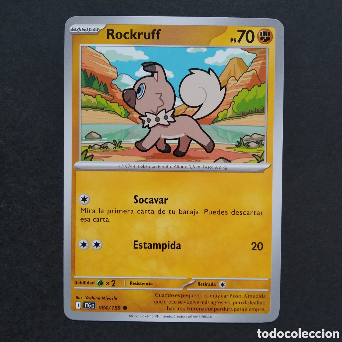 Trading cards: CARTA TCG - N&ordm; 084 - ROCKRUFF - JUNTOS DE AVENTURAS - POK&Eacute;MON - EN ESPA&Ntilde;OL