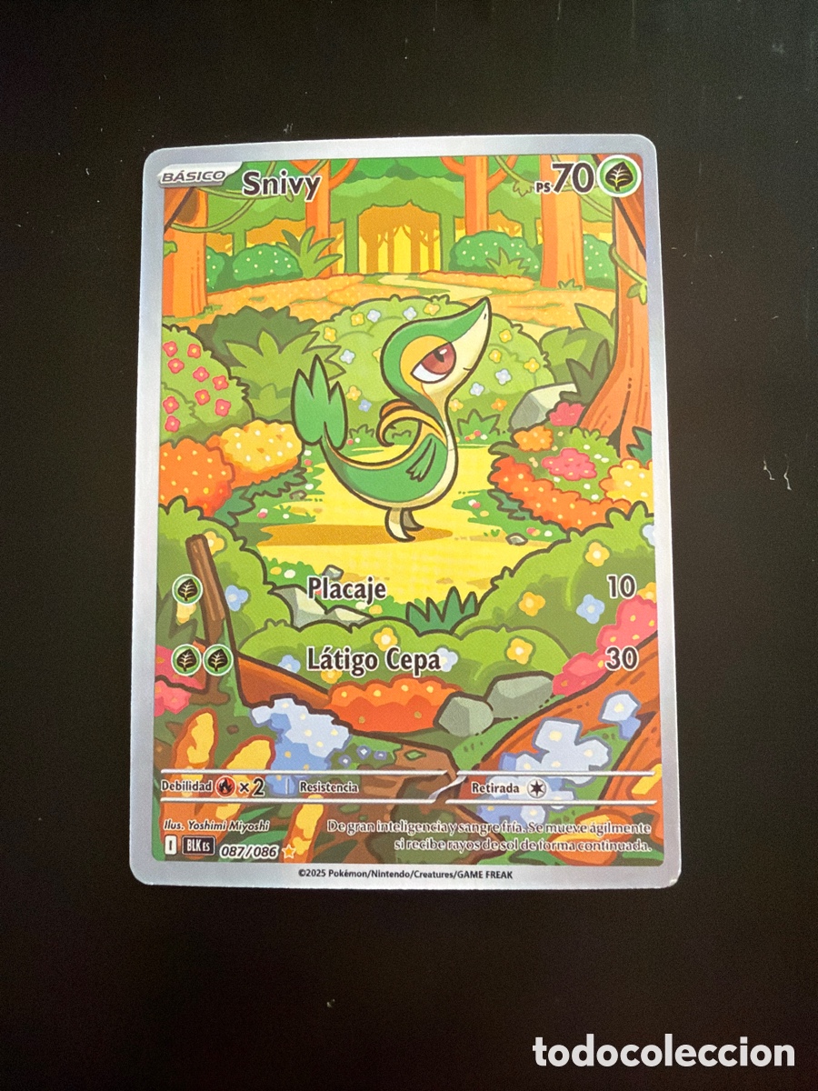 Trading cards: Snivy full art carta pokemon x2
