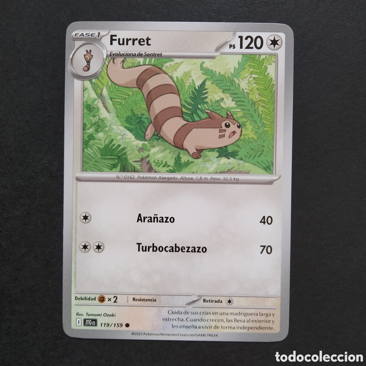 Trading cards: CARTA TCG - N&ordm; 119 - FURRET - JUNTOS DE AVENTURAS - POK&Eacute;MON - EN ESPA&Ntilde;OL