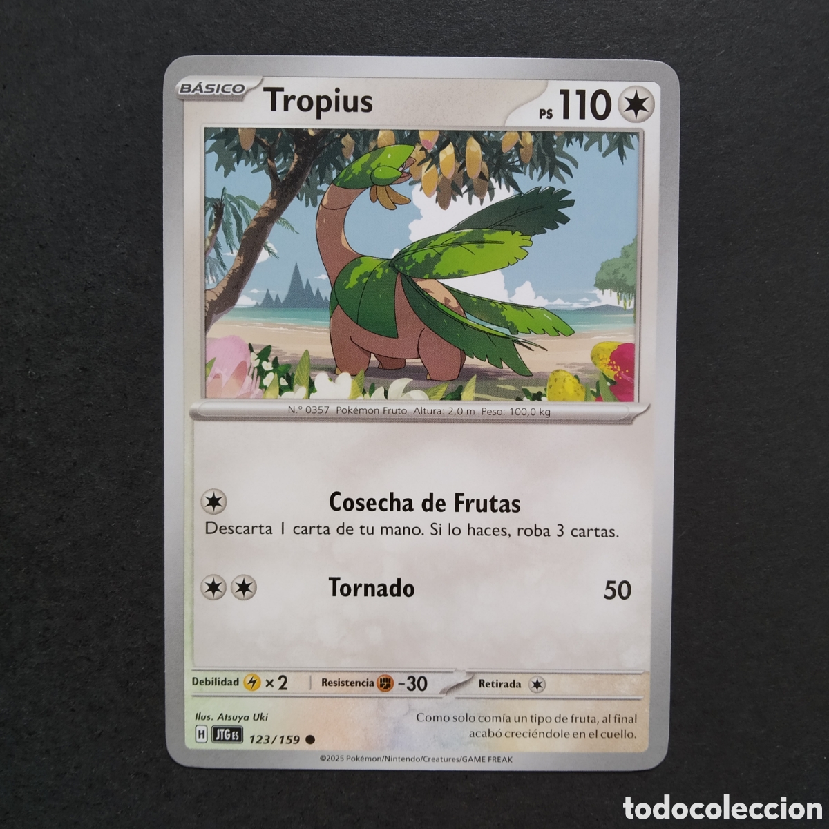 Trading cards: CARTA TCG - N&ordm; 123 - TROPIUS - JUNTOS DE AVENTURAS - POK&Eacute;MON - EN ESPA&Ntilde;OL