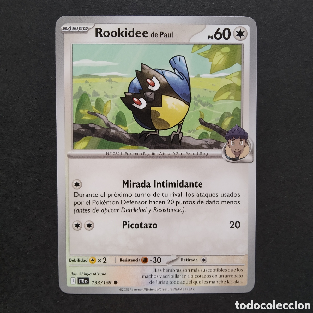 Trading cards: CARTA TCG - N&ordm; 133 - ROOKIDEE DE PAUL - JUNTOS DE AVENTURAS - POK&Eacute;MON - EN ESPA&Ntilde;OL