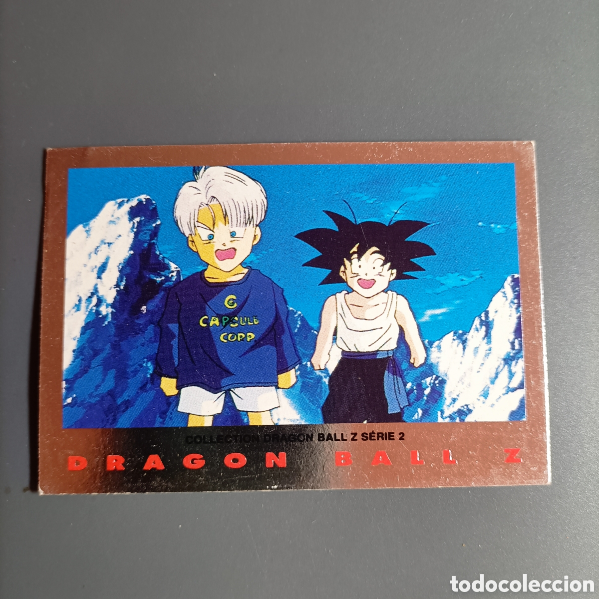 Trading cards: DRAGON BALL Z, SERIE 2 PLATA 1996 - №15
