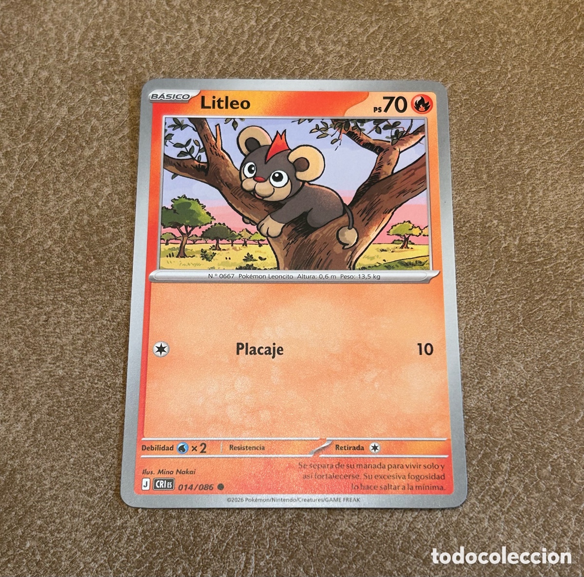 Sammelkarten: Pokemon - Litleo 014