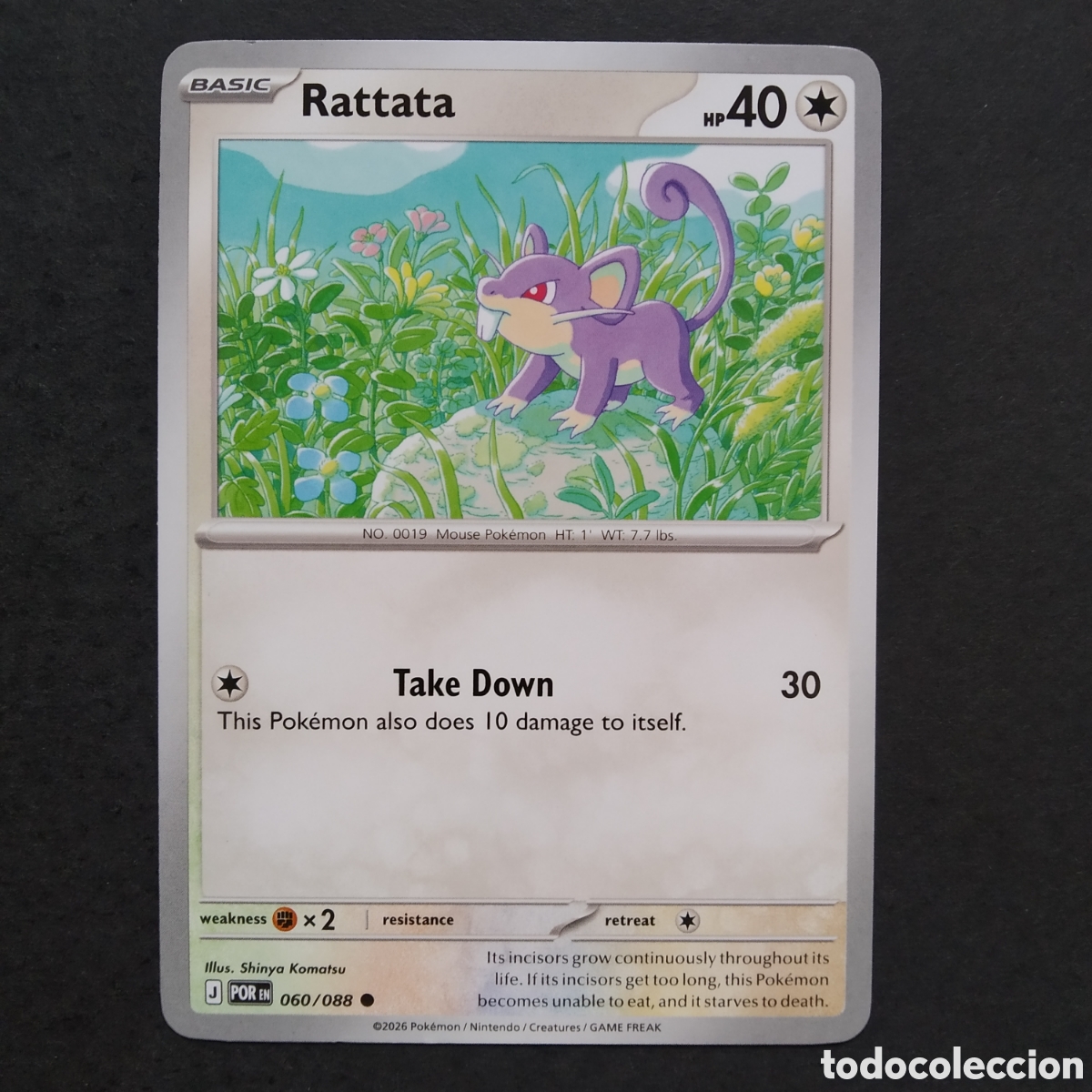 Trading cards: CARTA TCG - N&ordm; 060 - RATTATA - PERFECT ORDER - POK&Eacute;MON - EN INGL&Eacute;S