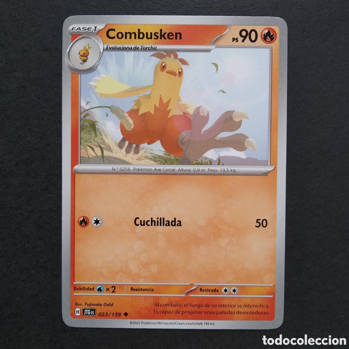 Trading Cards: CARTA TCG - N&ordm; 023 - COMBUSKEN - JUNTOS DE AVENTURAS - POK&Eacute;MON - EN ESPA&Ntilde;OL