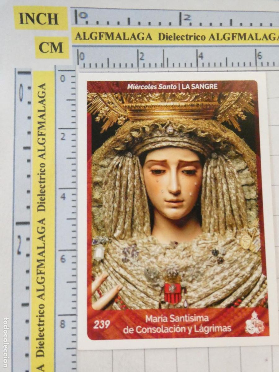 Trading cards: TARJETA TRADING CARD CROMO RELIGIOSO SEMANA SANTA M&Aacute;LAGA. HOLY CARDS 239 LA SANGRE MAR&Iacute;A CONSOLACION