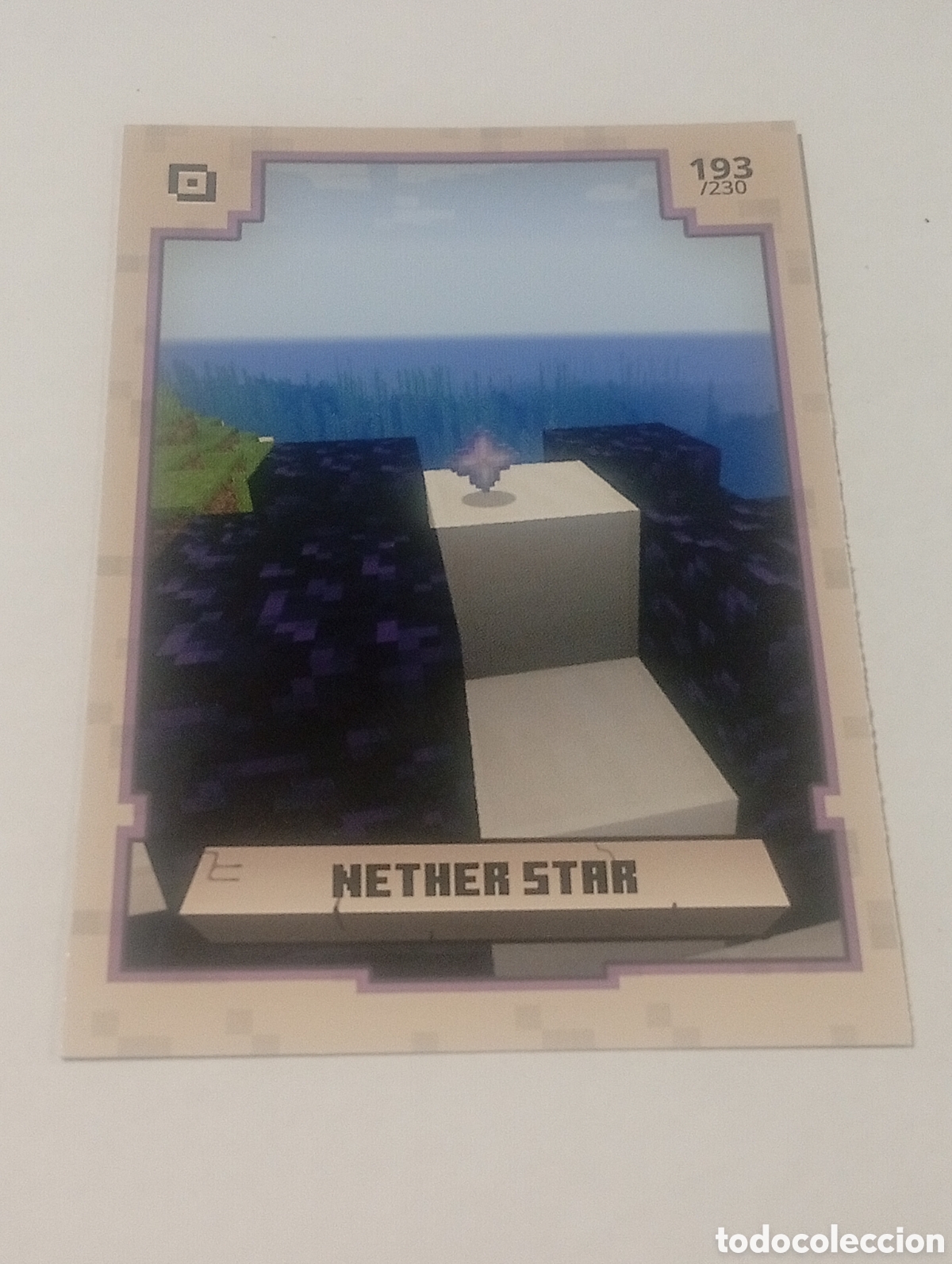 Trading cards: 193/230 MINECRAFT ADVENTURE TRADING CARDS GAME PANINI CROMOS CARD TOPPS ALBUM 2020 MOJAN STUDIOS TCG