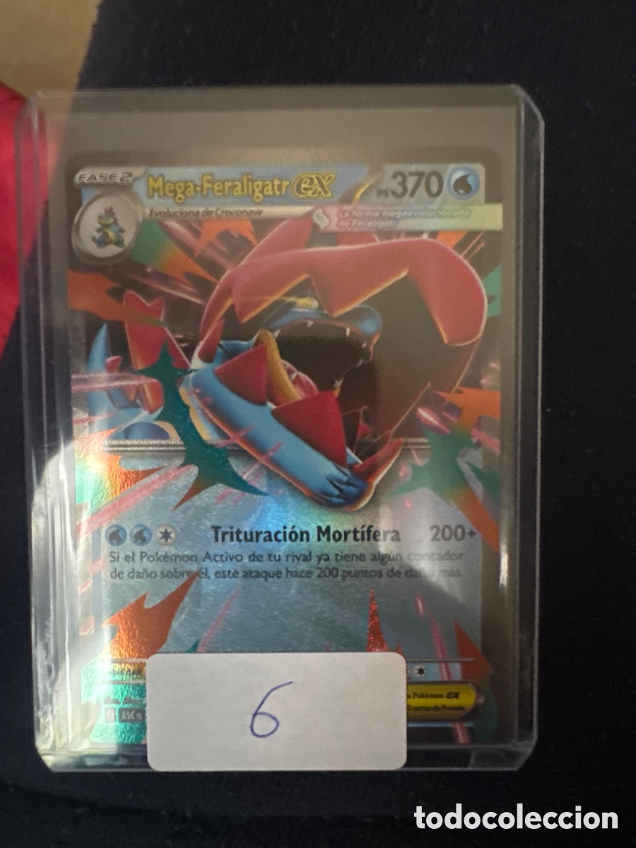 Cartes &agrave; &Eacute;changer: Carta Pok&eacute;mon del sobre a la funda