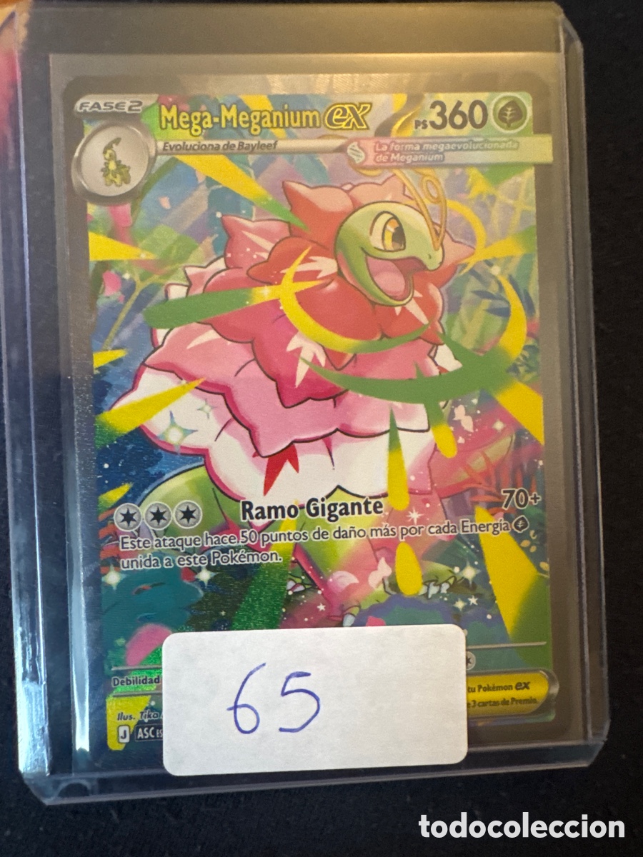 Trading cards: Carta Pok&eacute;mon del sobre a la funda
