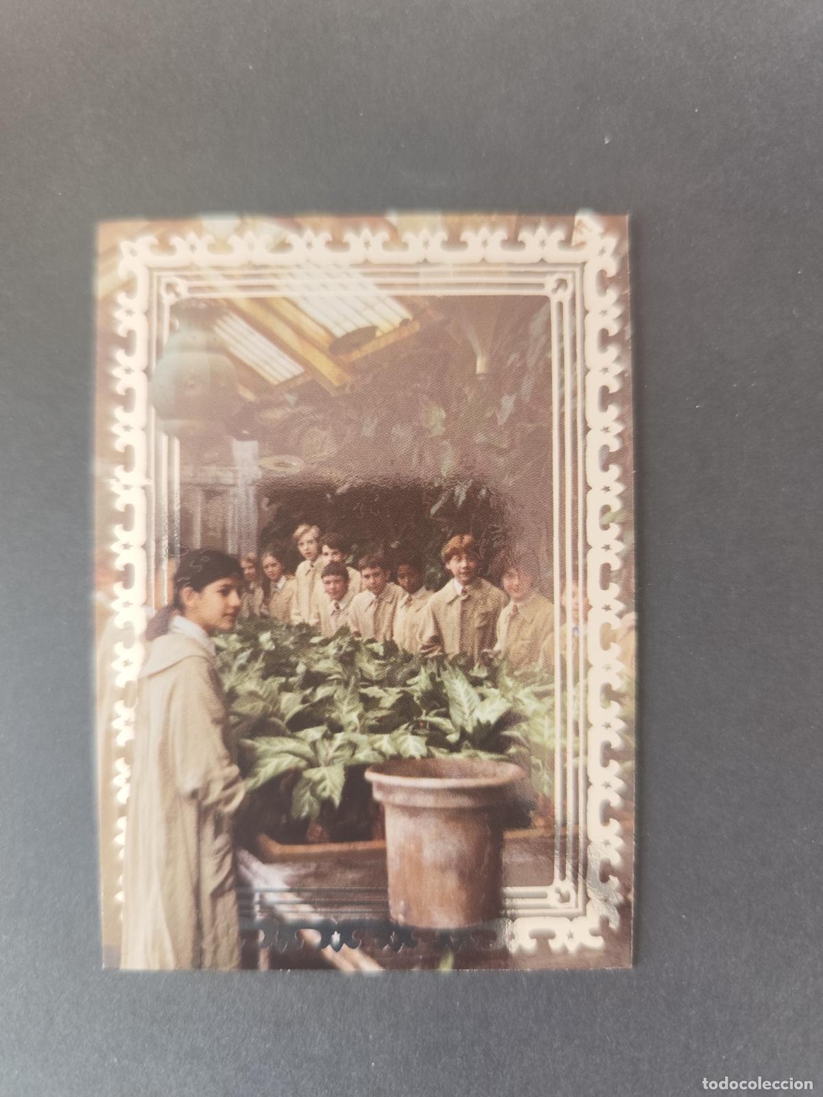 Cartas Colecion&aacute;veis: CARD 29 THE GREENHOUSES MAGICAL PLACES FOIL BRILLO HARRY POTTER ALWAYS 2026 PANINI