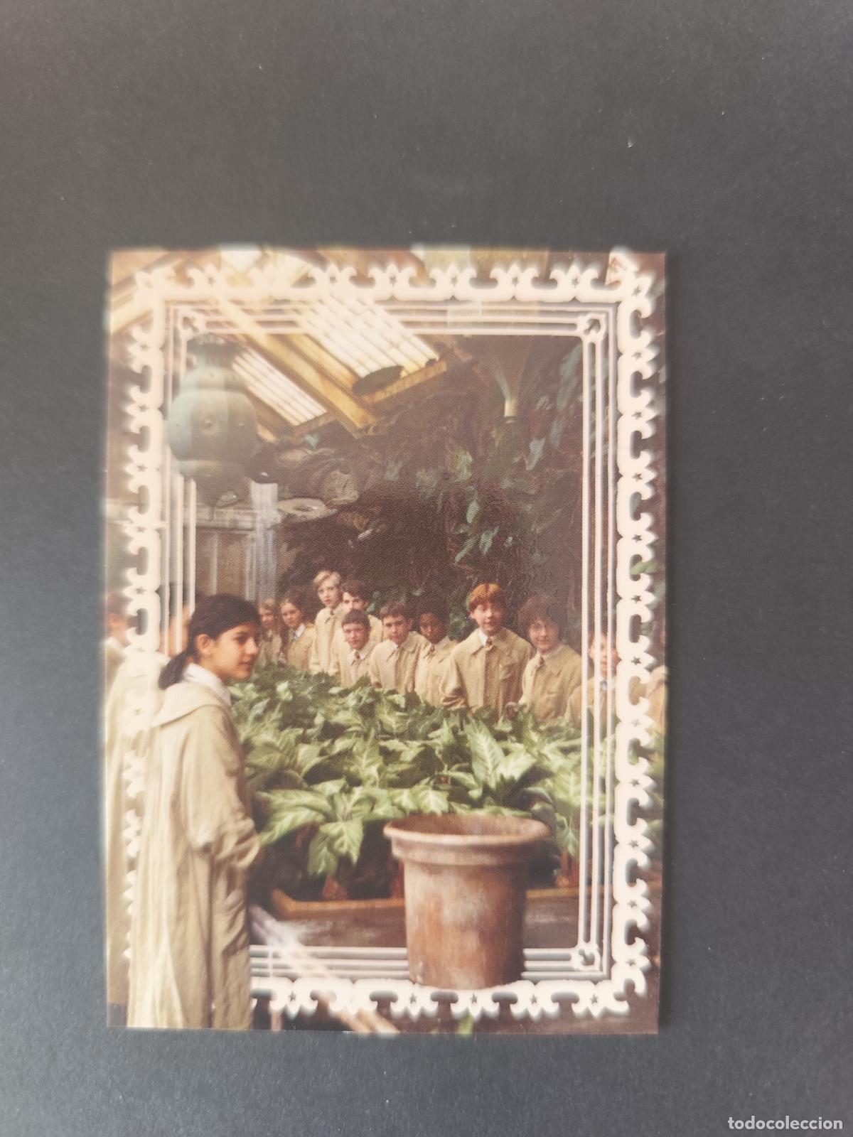 Cartas Colecion&aacute;veis: CARD 29 THE GREENHOUSES MAGICAL PLACES HARRY POTTER ALWAYS 2026 PANINI