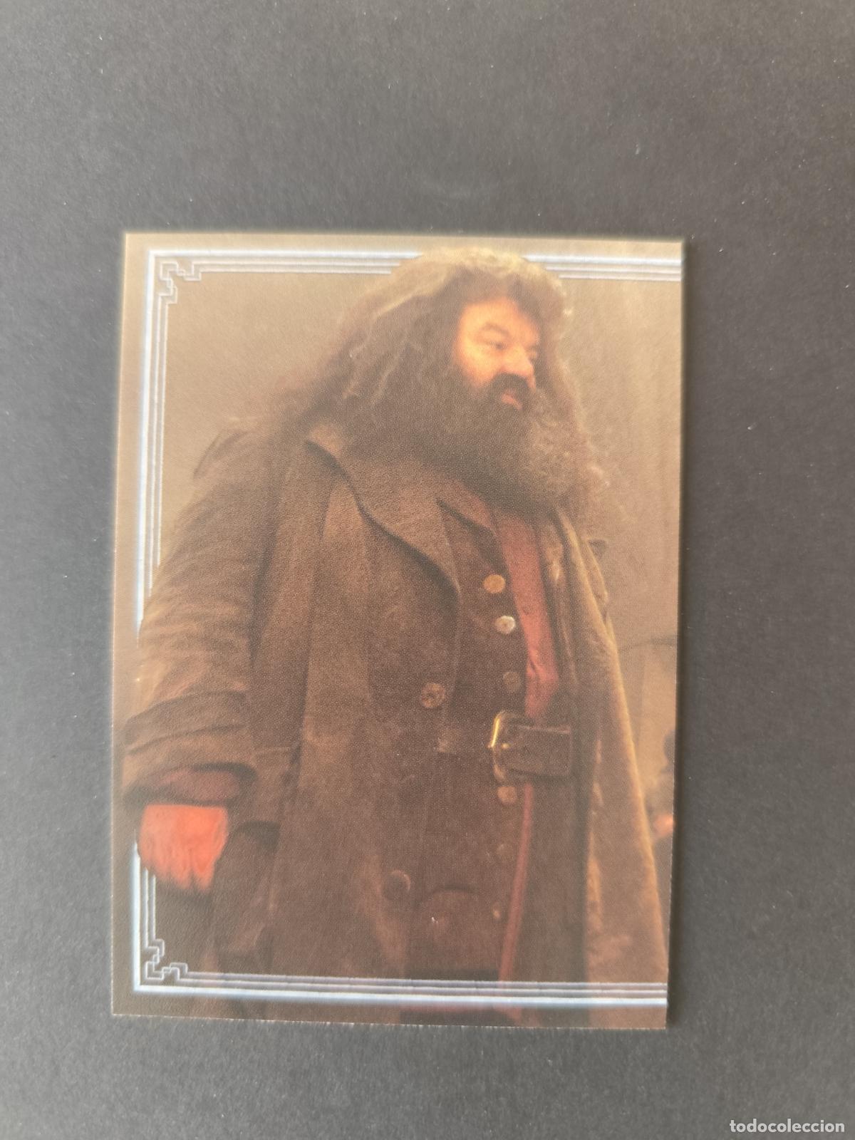 Cartas Colecion&aacute;veis: CARD 181 TRIPTYCH HARRY POTTER ALWAYS 2026 PANINI