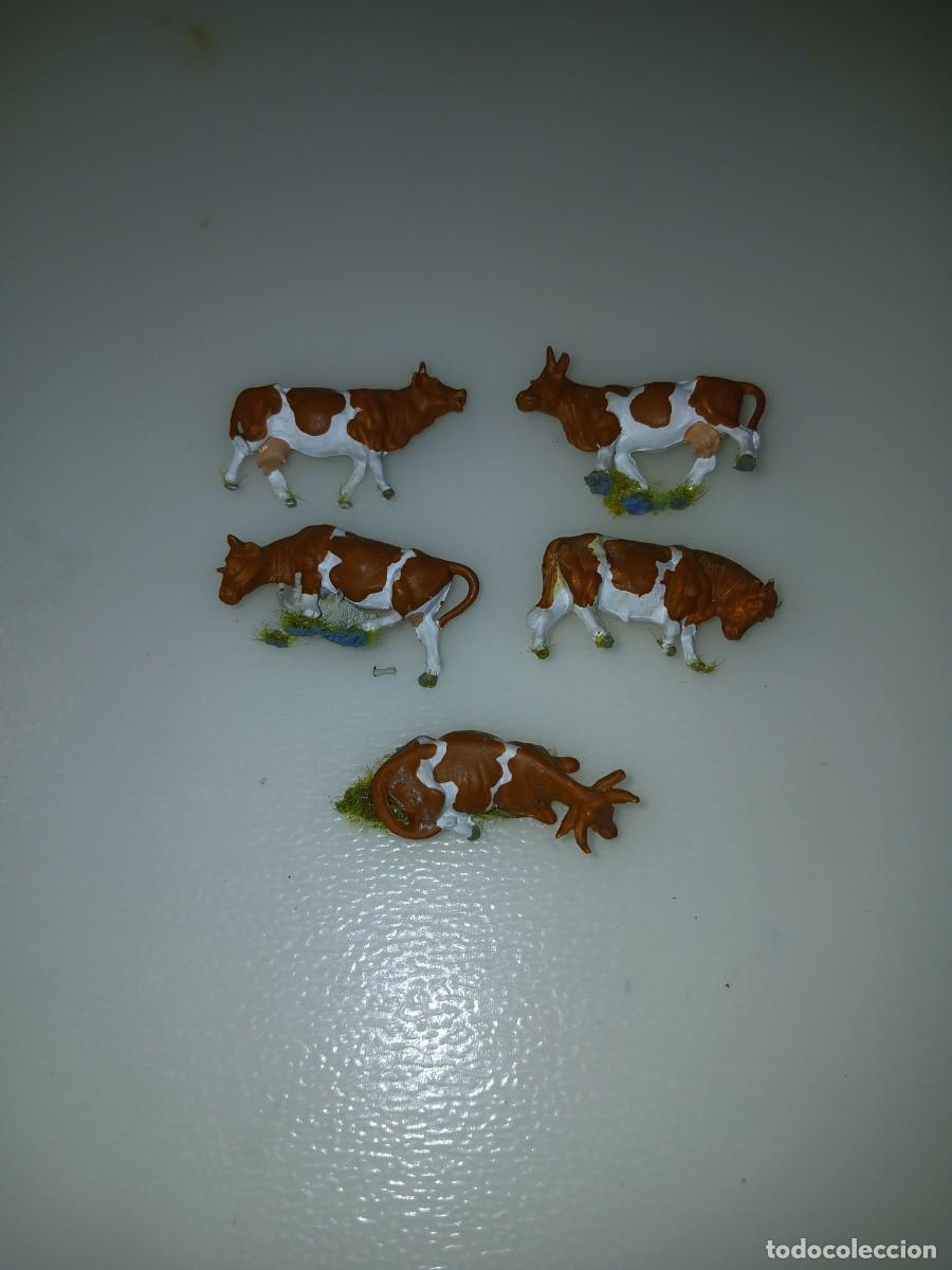 Trains &Eacute;chelle: 5 Vacas preiser 14155 Ho (1:87)