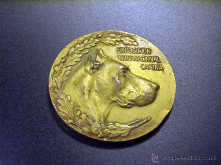 Trofeos y medallas: Medalla exposici&oacute;n canina 1917 - Foto 1