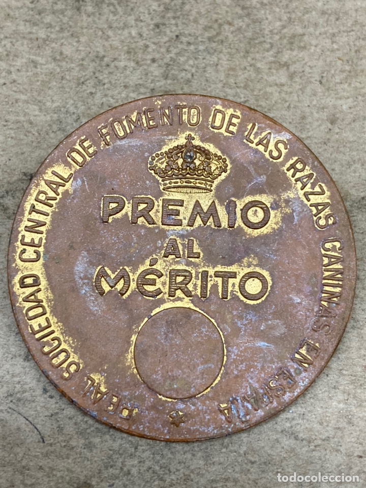 Trofeos y medallas: Medalla Exposici&oacute;n internacional Canina - Foto 2