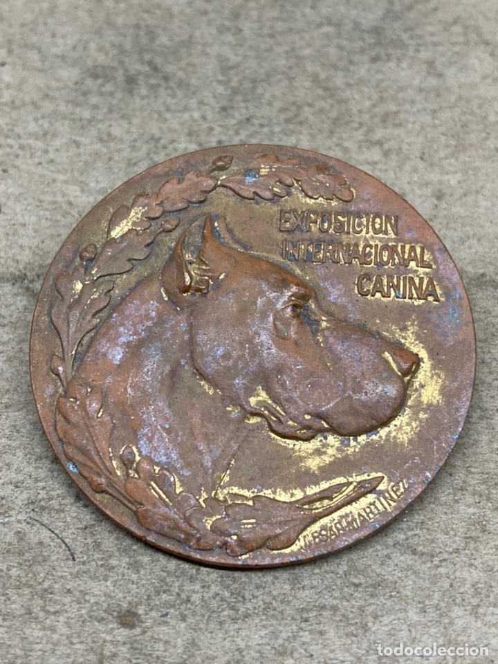 Trofeos y medallas: Medalla Exposici&oacute;n internacional Canina - Foto 1