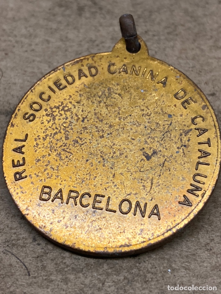 Trofeos y medallas: Medalla real sociedad canina - Foto 2