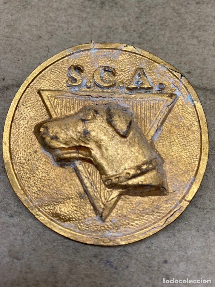 Trofeos y medallas: Medalla de metal - Foto 1