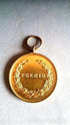 Trofeos y medallas: medalla de bronce dorada 35 cm - Foto 1