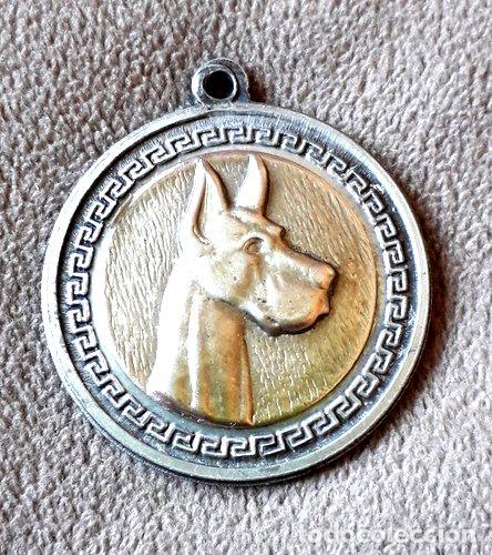 Trofeos y medallas: medalla de raza de perro gran danes - Foto 1