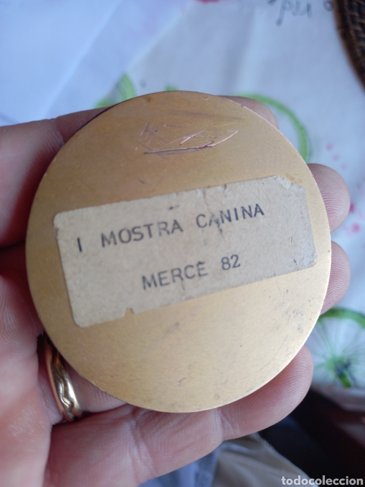 Trofeos y medallas: MEDALLA R.S.C.C - Foto 2