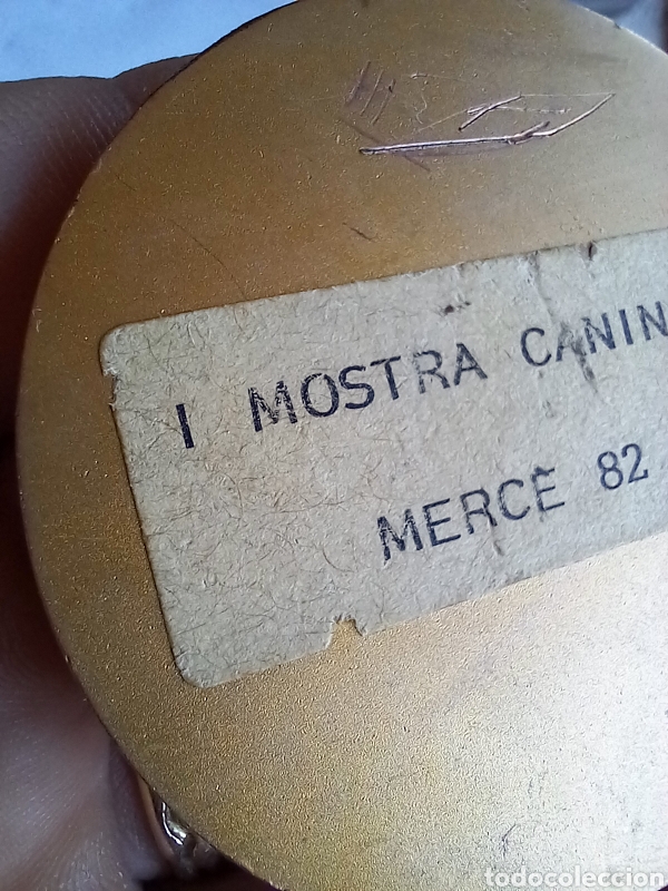 Trofeos y medallas: MEDALLA R.S.C.C - Foto 8