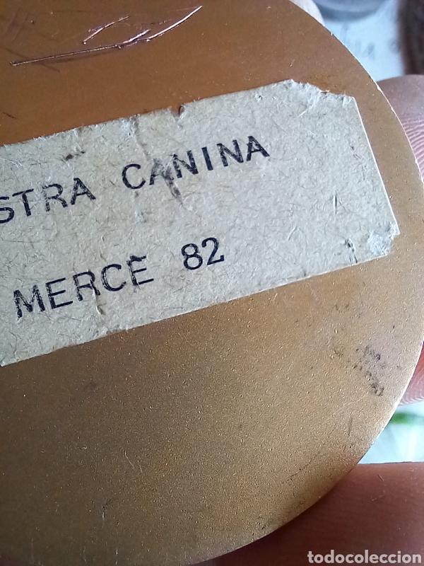Trofeos y medallas: MEDALLA R.S.C.C - Foto 9