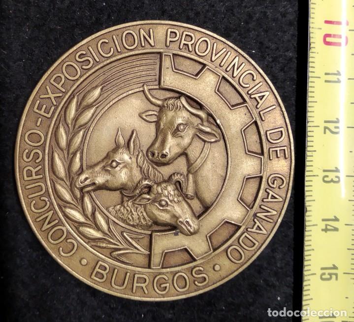 Trofeos y medallas: Concurso Provincial de Ganados. Burgos. - Foto 1
