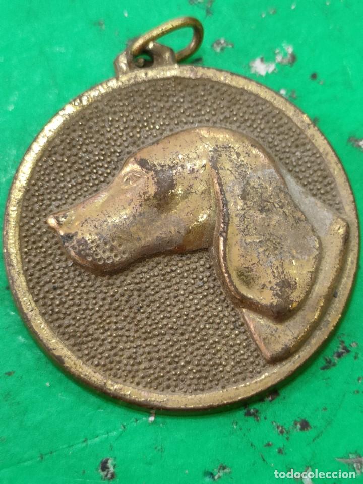 Trofeos y medallas: Medalla Canina 1982 Ayuntamiento de Santander - Foto 1