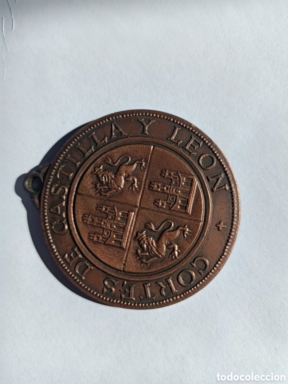 Trofeos y medallas: Medalla de las Cortes de Castilla y Le&oacute;n - Foto 1