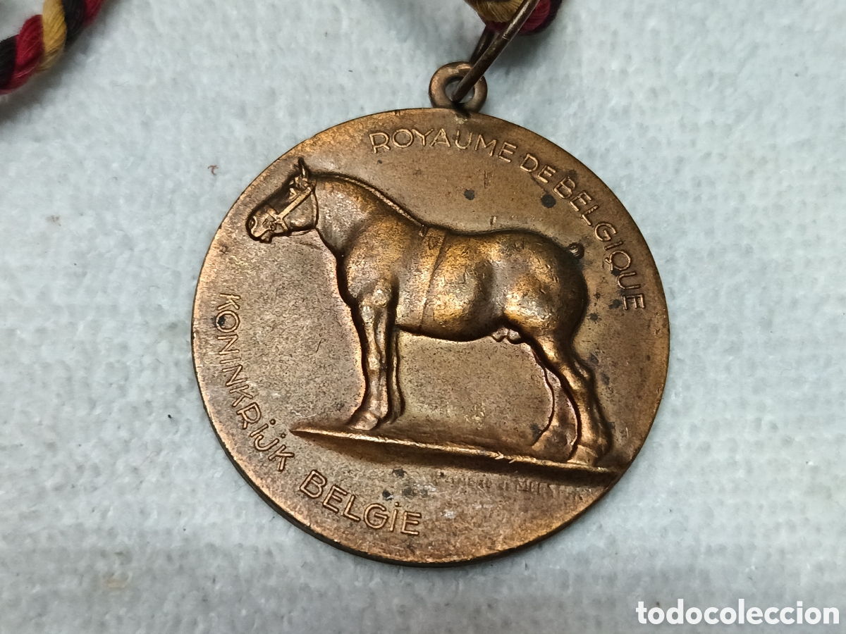 Trofeos y medallas: ANTIGUA MEDALLA MINISTERIO DE AGRICULTURA, GRAN TAMA&Ntilde;O