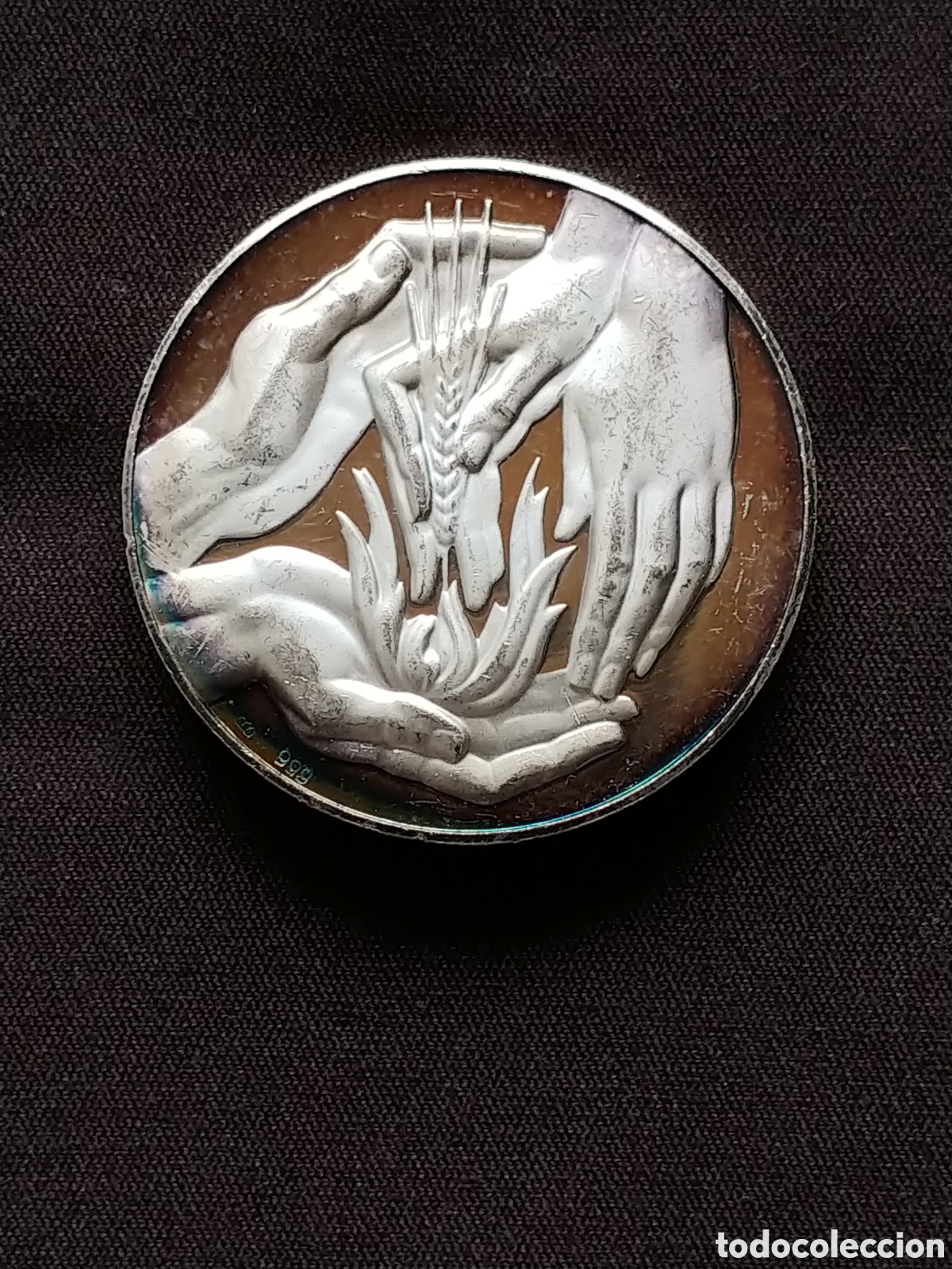 Trofeos y medallas: Espa&ntilde;a, medalla de plata .999 mls, Proof - Foto 1